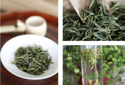 早春茶里寻故土