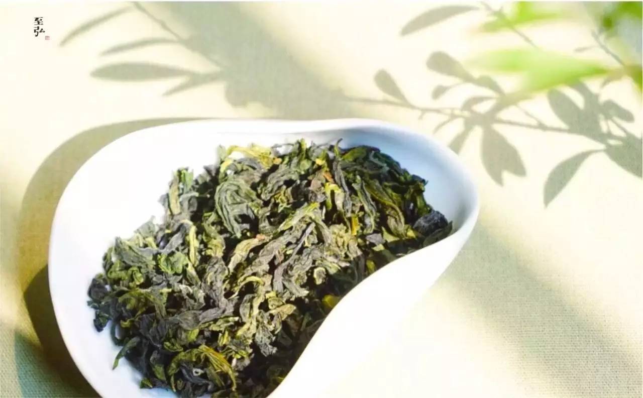 一沏一会 || 文山包种茶味语