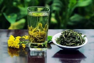 春茶何时上市 追寻那一抹新绿的时间密码